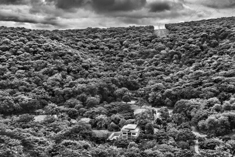 A view of the Bulcão farm after a few years with the Terra Instituto's reforestation project in Minas Gerais, Brazil. Photo by Sebastião Salgado.